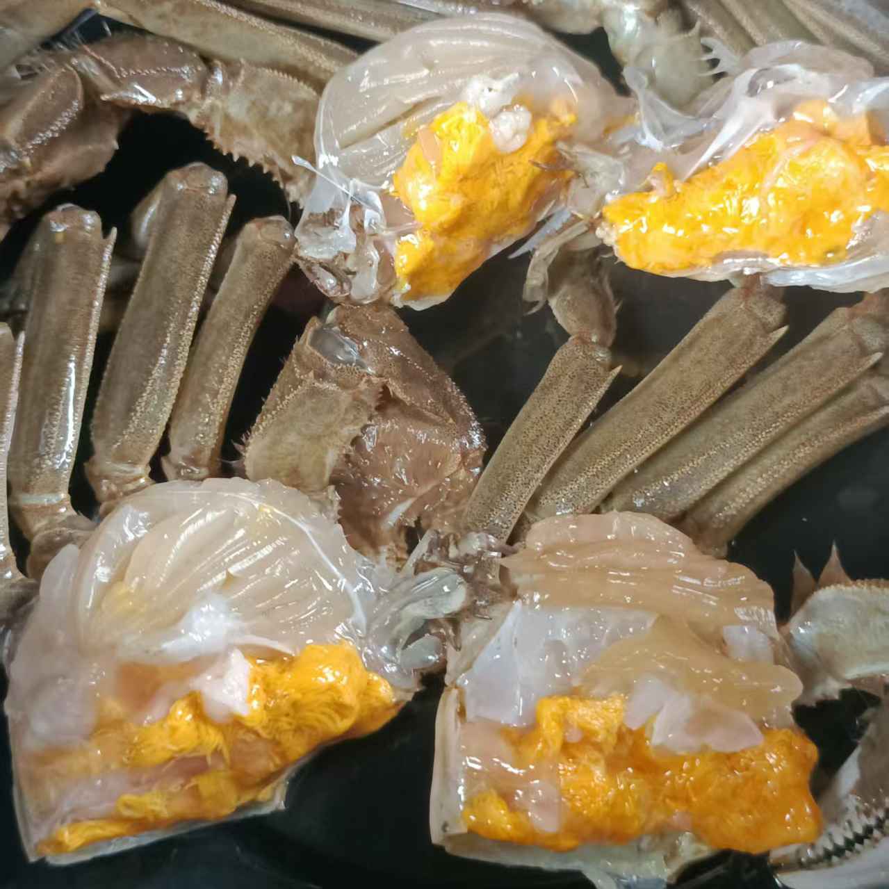 六月黄（鲜活）大虾蟹（1.3-1.6）10只59.9 全城盒装顺丰配送